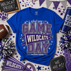 Personalized Game Day Shirt, Custom School Mascot Team T-Shirt – product image 3