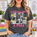 Paraprofessional Shirt, Special Ed Teacher Aide Back to School Tee - product image 1
